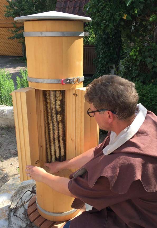 Blick in einen geöffneten Zeidler-Baum
